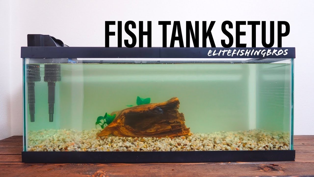 How To Set Up A Fish Tank - 20 Gallon Long - Youtube