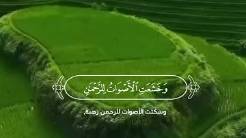 ويسألونك عن الجبال/سورة طه ياسرالدوسري  قرآن كريم#حالات_واتس #سورة_طه
