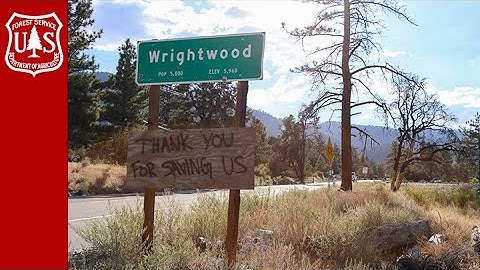 From Flames to Future: Wildfire Crisis Strategy & Fuel Treatment Triumphs