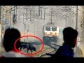 Gatimaan vs cow  160kmph speedy show  indian railways