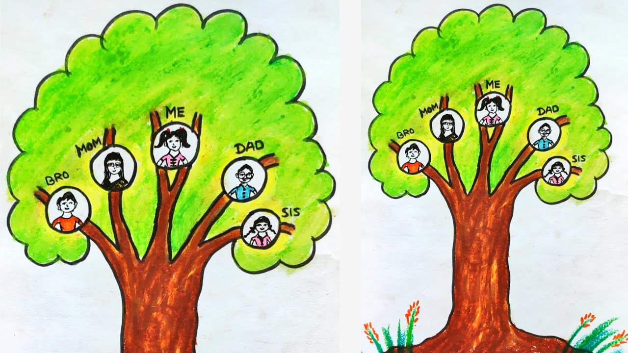 How to draw a family tree step by step |Family tree drawing easy ...