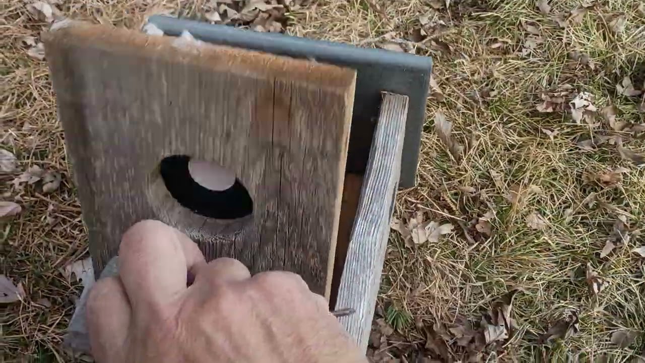 House sparrow/starling Van Ert nest box trap