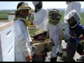Urban Beekeeping with Kim Flottum