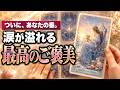 【全員には出ません】これを見た瞬間から。あなたが受け取る「過去最高のご褒美」全詳細