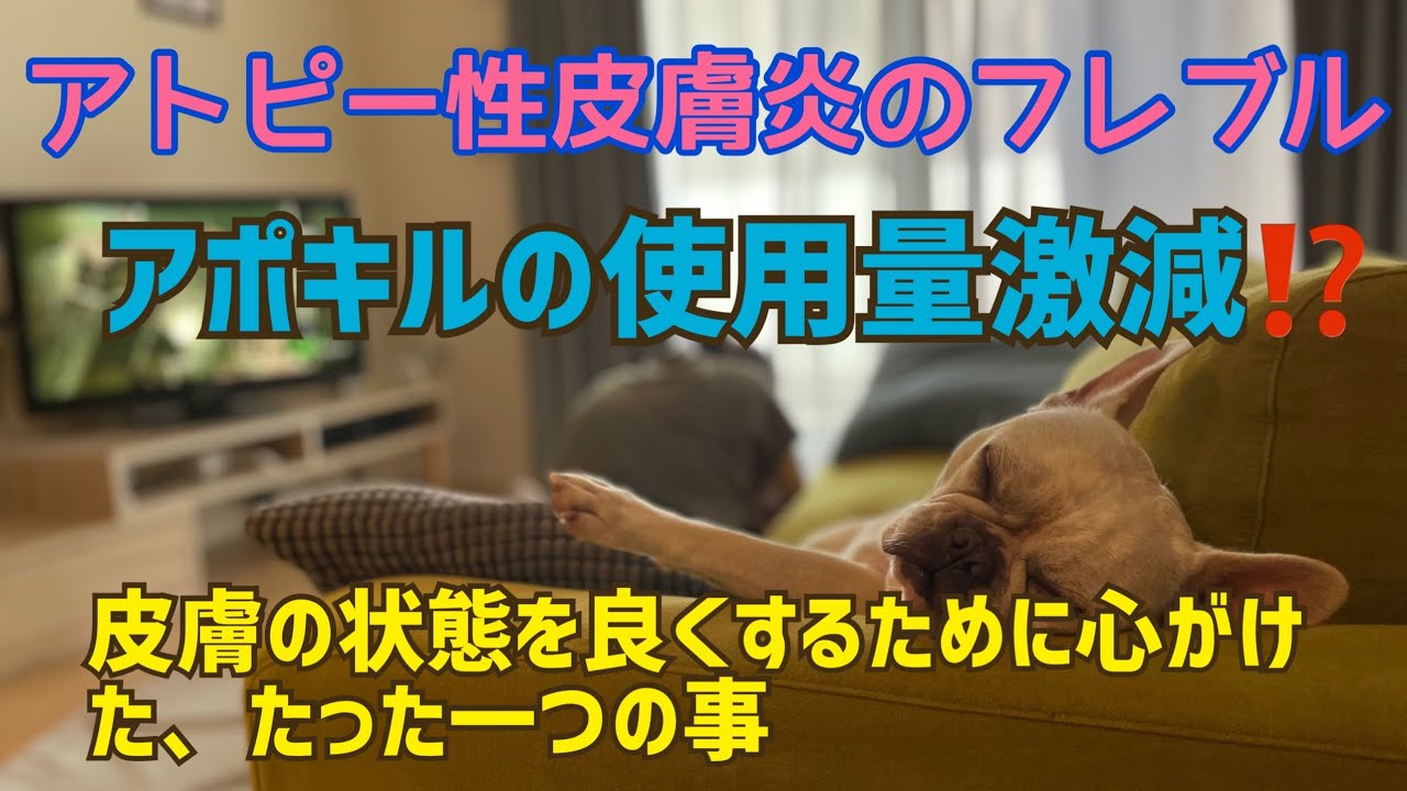 アトピー性皮膚炎のフレブルのアポキルの使用量が激減したお話。