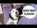 Frisur-Streich bei Meeka geht komplett schief – sie rastet total aus!