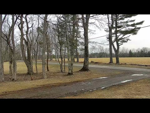 Raccoon Saloon Driveway View