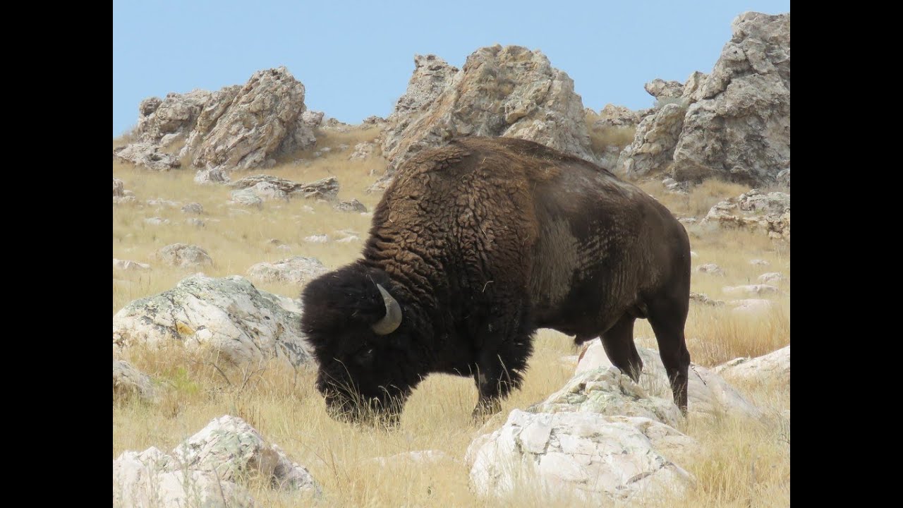 13 UT Salt Lake + SLC Downtown (14 July)