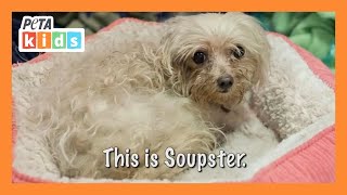 Soupster the Pup Gets a Second Chance at Life | Animal Rescue Video | Animal Videos | @PETAKids