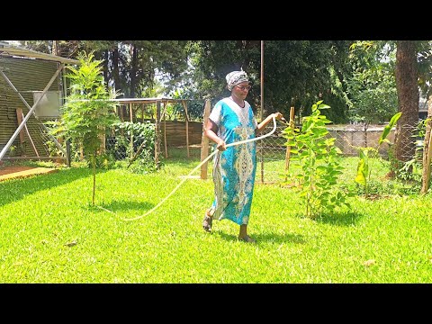 One of the best﻿ speeches ever produced in a movie!