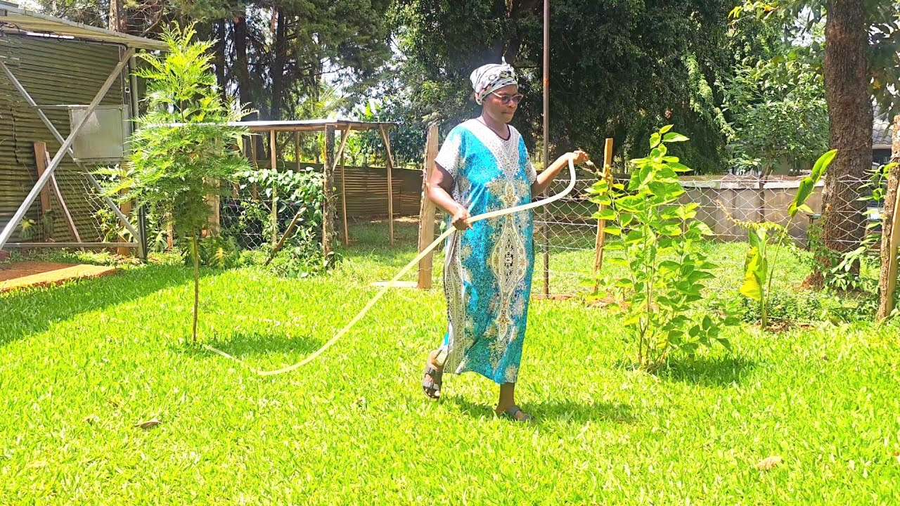 Я наконец-то принял важное решение | Жизнь после выхода на пенсию