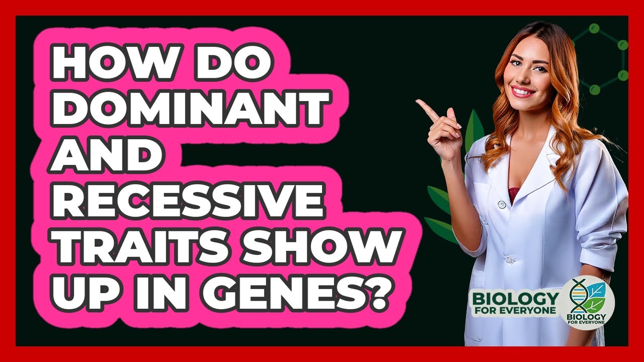 How Do Dominant And Recessive Traits Show Up In Genes? - Biology For Everyone