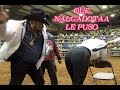 NALGADOTAAA  GRITO DE DOLOR
