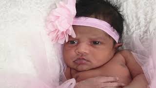 Newborn photoshoot JCPENNY