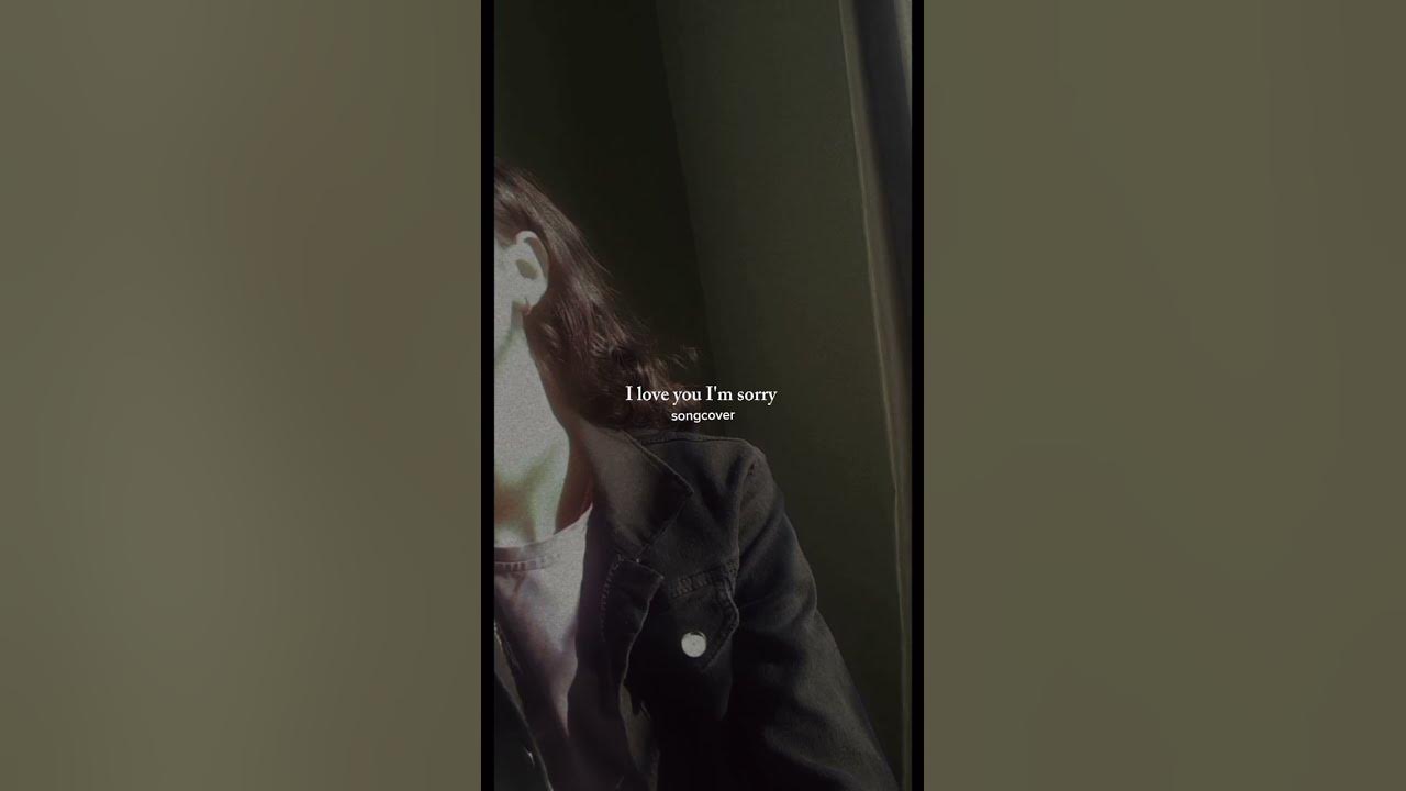 i love you I'm sorry ~ #gracieabrams #acousticcover #coversongs
