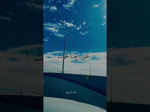 رسمنا حياة ولا كملت قلوب حبتنا تحولت نفس المكان ومن الصفر بيغ سام