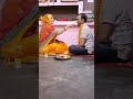 vat savitri puja/Mera sindoor hai mera singar hai tu #ytshorts #trending