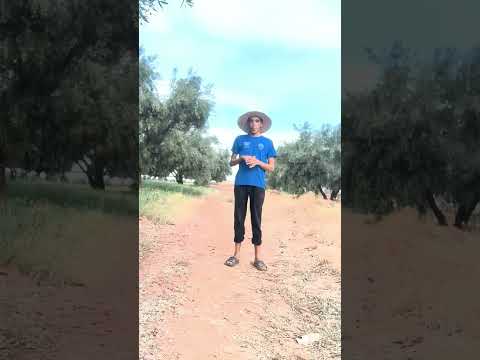 بدر المغربي راعي الغنم بدر المغربي راعي الغنم