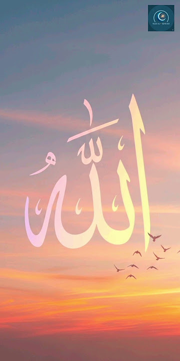 DUA 🤲 | Peer Zulfikar Ahmed Naqshbandi Mujaddidi DB                        #bayan #islamicart #peace