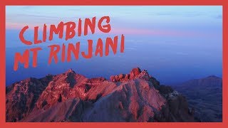 DON'T TRY THIS AT HOME | 3 DAY TREK UP MT RINJANI
