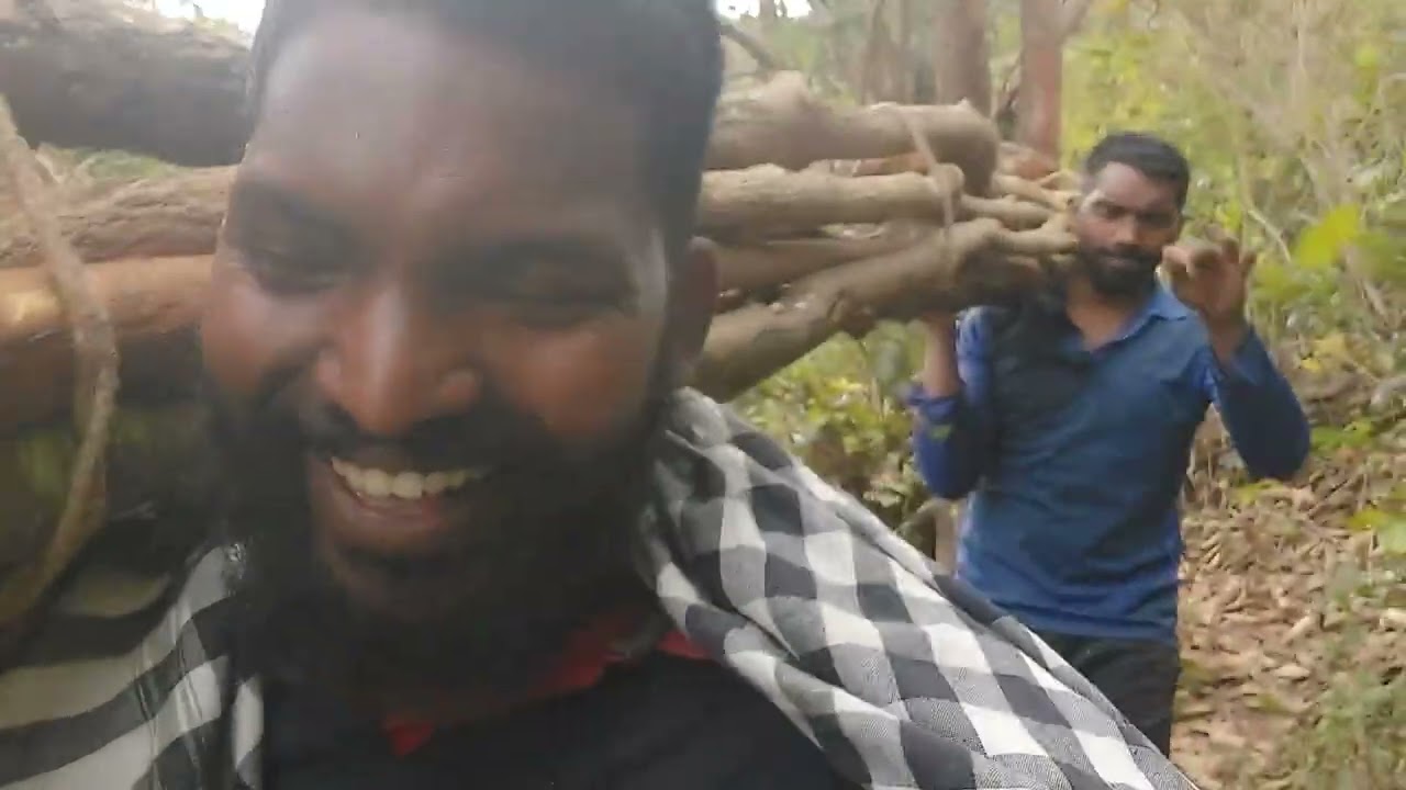 ଜଙ୍ଗଲ ରେ କାଠ ଖୋଜୁଛୁ ଜାଳେଣି ପାଇଁ 