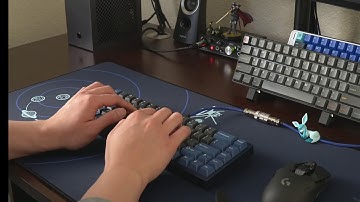 Vega with Alpacas - Typing Test