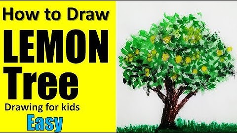 How to draw a lemon tree | Lemon tree drawing | By Prakhar Shrivastava