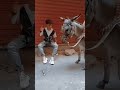 طول ما الصحه زي الفل ترند مسلم الجديد Foryou Fypシ Fypシ 