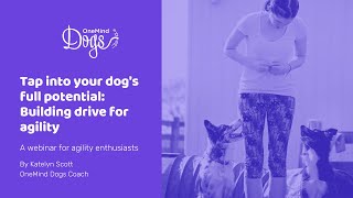 Tap into your dog's full potential: A webinar about building drive in agility