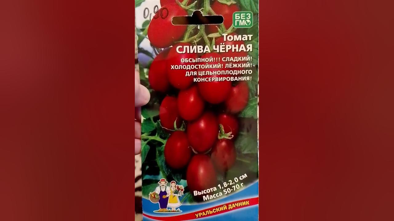 Четыре сладких томатов черри! Вкусные сладкие томаты черри! Сладкие ...