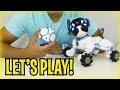 Day 2 - LET'S PLAY! CHiP Robot Dog Toy from WowWee (FULL REVIEW)