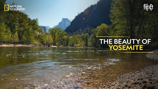The Beauty of Yosemite | America’s National Parks | हिन्दी | Full Episode | S1-E3 | Nat Geo