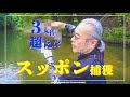 #19【驚愕】スッポンを獲ったら3キロ超えが獲れた!