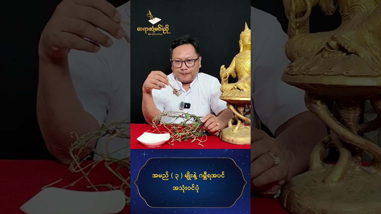 အမည် ၃မျိုးနဲ့ ဂမ္ဘီရ အပင် အသုံးဝင်ပုံ