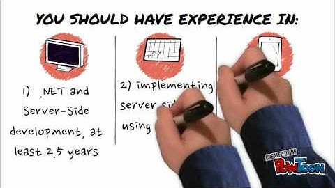 Senior .Net Developer