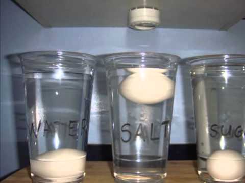 Why does salt make an egg float in water?