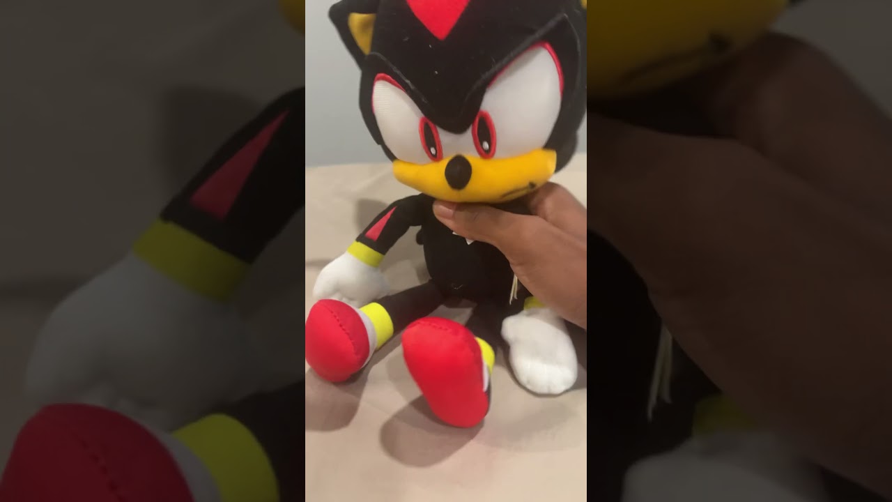 When shadow has a YouTube channel and got interrupted by Rocky. 🤣🤣🤣