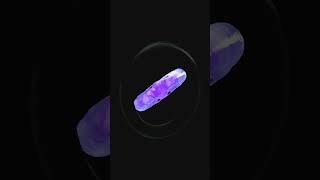 Sphere with Torus Animation| Spline tutorial