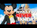 Top 10 things you didnt know you could do at walt disney world