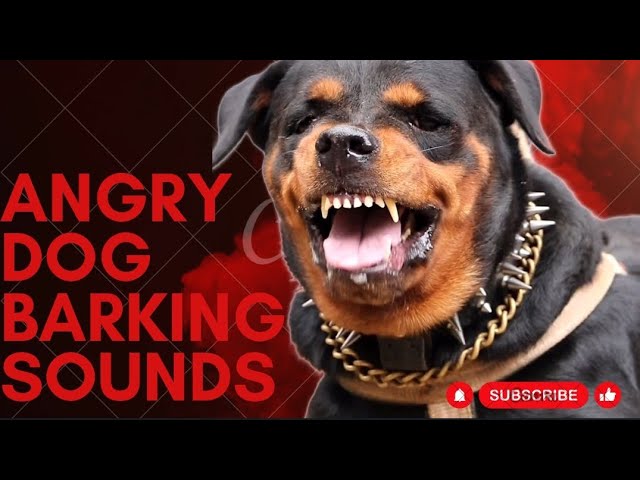 Epic Dog Barking Compilation: See How Your Dogs REACTS and Can't Resist! class=