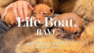 Life Boat. - RAYE / 가사 번역