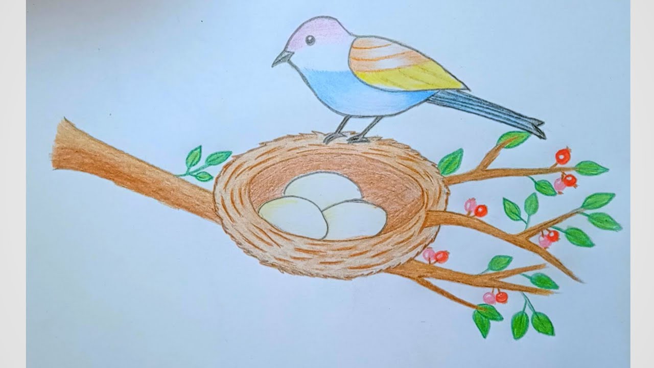 Top 107+ weaver bird nest drawing latest