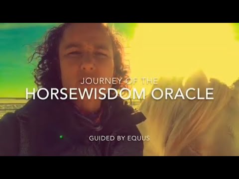 Journey of the HorseWisdom Oracle Guided by Equus