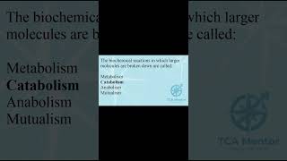 The biochemical reactions in which larger molecules are broken down are called