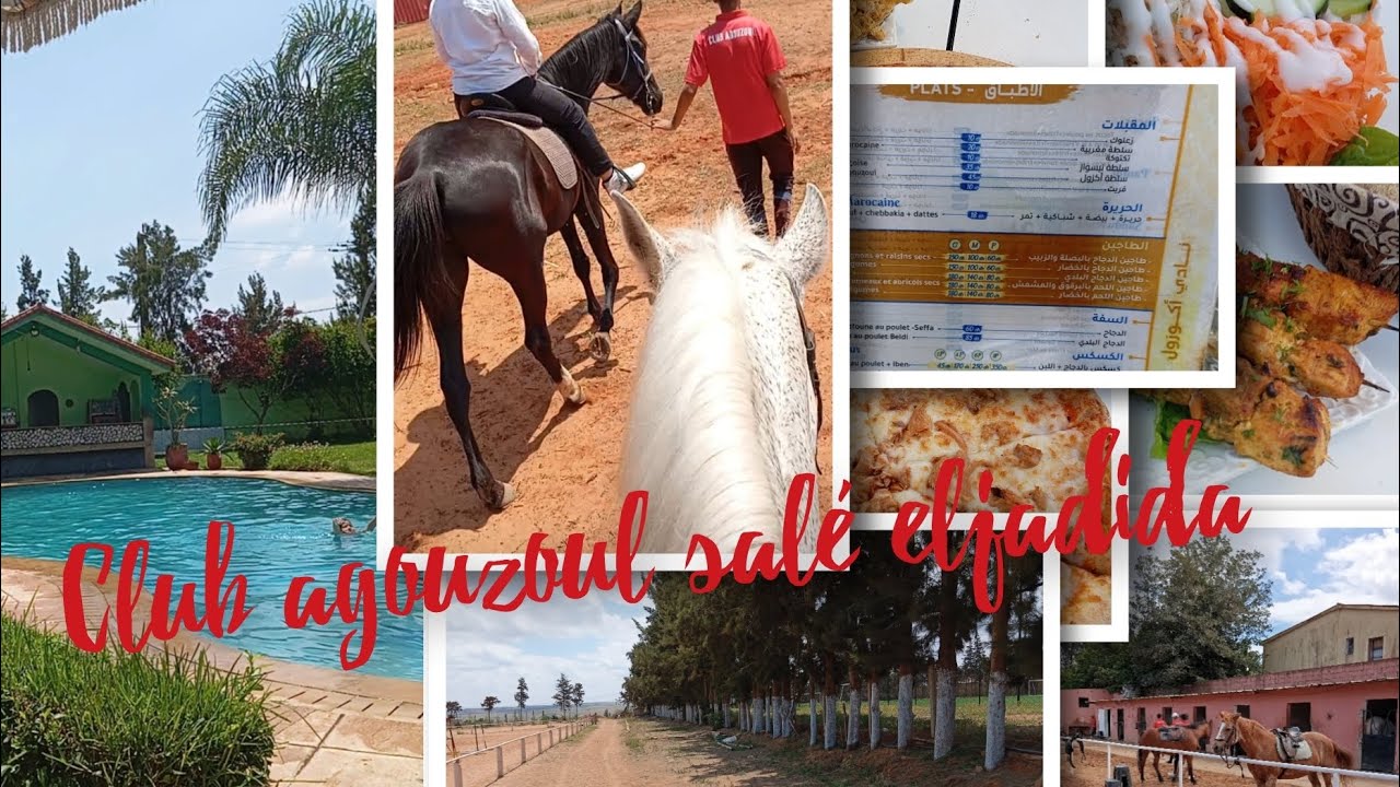 كلوب أكوزول سلا الجديدة عشاق الخيل #نادي أكوزول للفروسية /club agouzoul