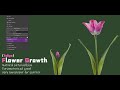 Blender Addons：Flower Growth（Tulipa）Panel Introduction