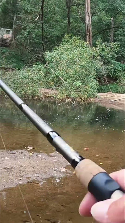 Just the Start of Fishing Mania….