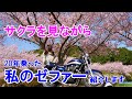 【ゼファー750】20年乗った私のゼファーを改めて紹介♡満開の桜を見ながら【大人のバイク女子】モトブログ