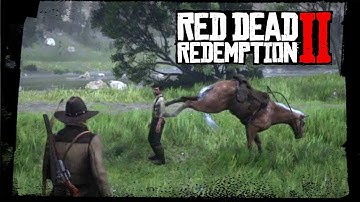 Random Stranger Kicked by Horse - Red Dead Redemption 2