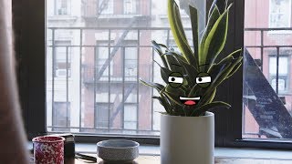 Plant Roommate